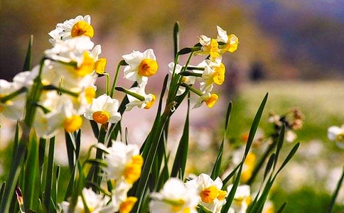 �P��ˮ�ɻ�������(���x15ƪ)