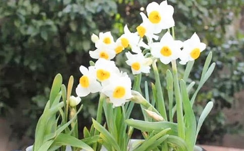 �茑(xi��)ˮ�ɻ������ģ�ͨ��23ƪ��