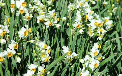 ˮ�ɻ�����[�؂�15ƪ]