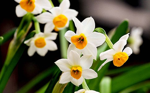 �Ґ�����ˮ�ɻ�