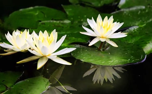 ���ƌW(xu��)˯ɏ���_�̰�5ƪ