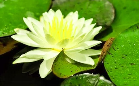 ���ƌW(xu��)˯ɏ���_(k��i)�̰�(5ƪ)