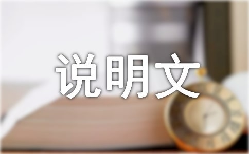 精華說明文的作文