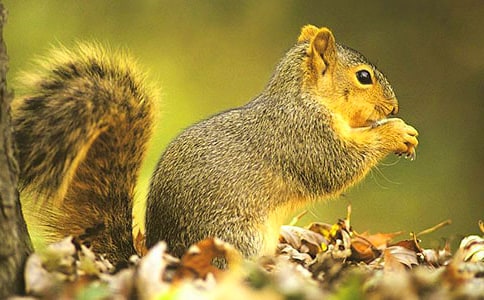 �P(gu��n)������ժ�ɹ����������]