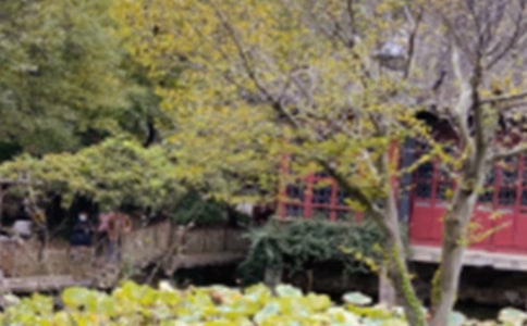 蘇州園林導游詞【合集15篇】