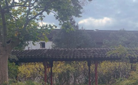 �P(gu��n)���K�݈@�֌�(d��o)���~