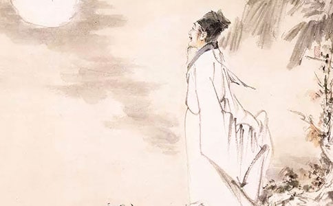 與蘇軾對(duì)話作文