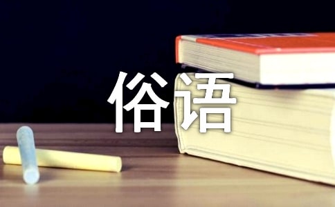 青的色彩意義、國(guó)俗語(yǔ)義及其翻譯探析