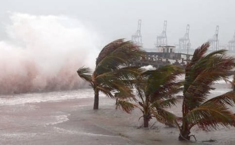 (實用)關(guān)于臺風(fēng)作文