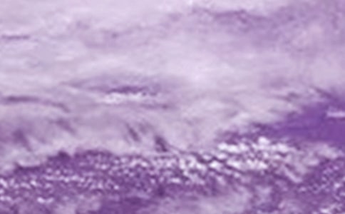 �P���_�L�����ģ����x42ƪ��