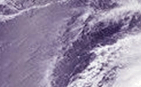 臺(tái)風(fēng)來了作文