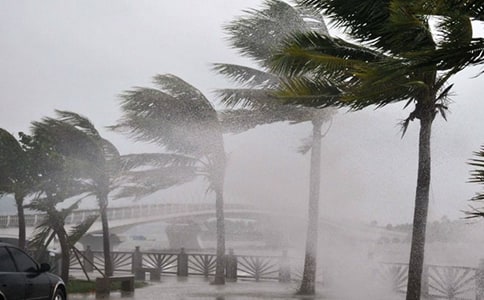 �_(t��i)�L(f��ng)��(l��i)�����ĺϼ�15ƪ