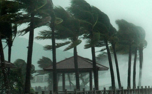 �P(gu��n)���_(t��i)�L(f��ng)�����ľ��x[15ƪ]