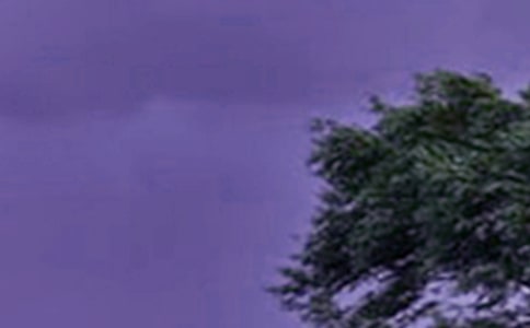 關(guān)于臺風(fēng)的作文【優(yōu)】