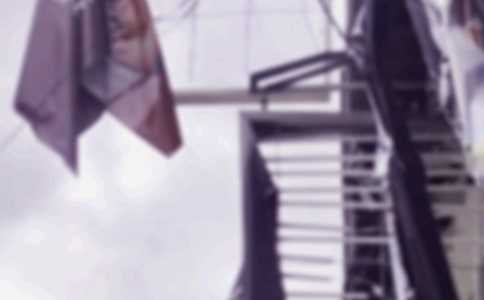 關(guān)于臺(tái)風(fēng)的作文15篇【經(jīng)典】