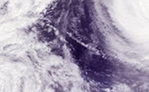 臺風(fēng)來襲作文