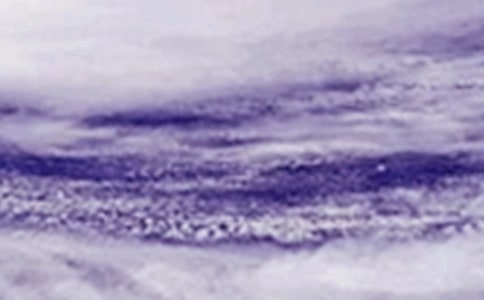 �_�L(f��ng)������600��