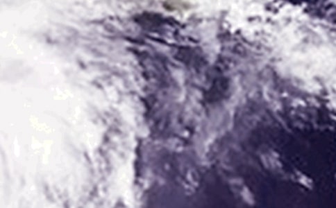 關于臺風印象的優(yōu)秀作文