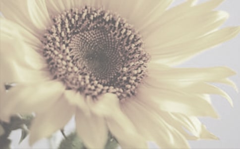 �����̫ꖻ�Ů���x���4ƪ