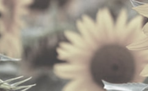 �茑̫ꖻ���С�W(xu��)������