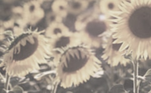 ̫ꖻ��_Ψ��ɢ��