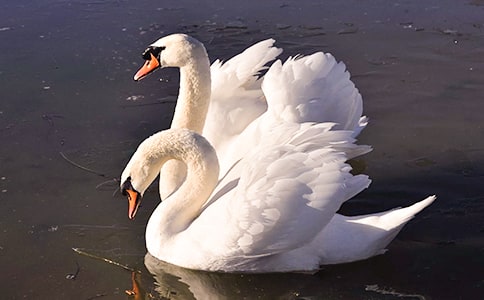 С̖(h��o)���Z�x���