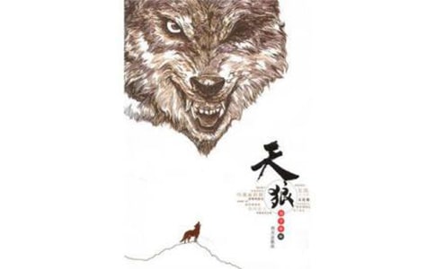 ���ǵ��x���13ƪ