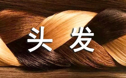 爸爸的頭發(fā)作文