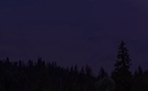 �����������Z165��