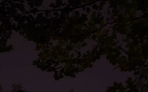 最新正能量晚安寄語195句精選