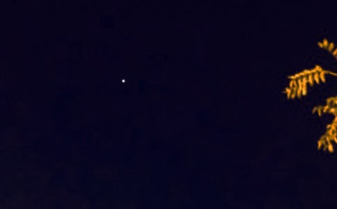 最新溫馨晚安寄語(yǔ)65句精選