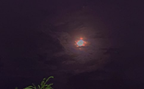 �����������Z�����x115�䣩