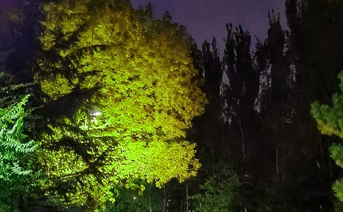 朋友圈晚安寄語(精選45句)