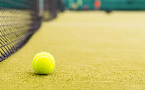 關(guān)于網(wǎng)球的作文