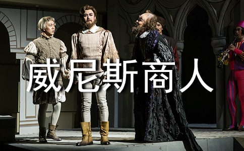 《威尼斯商人》教學(xué)設(shè)計(jì)9