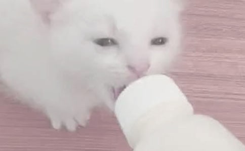 嬰兒喂奶量 寶寶喝多少奶比較合適