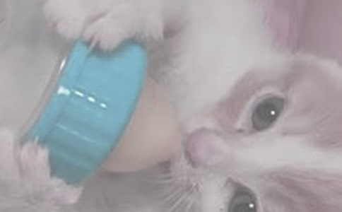 ι�̕r(sh��)Ո(q��ng)���⺢��