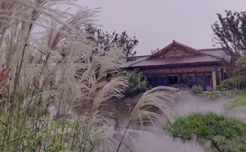 溫泉之旅作文350字