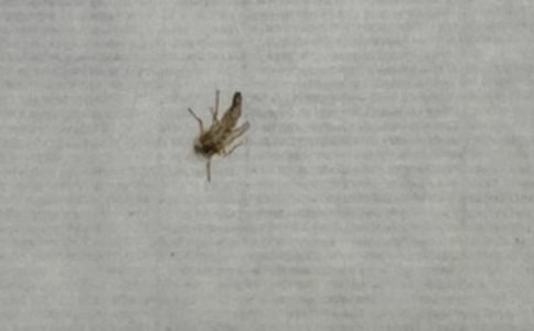 ���o���ӵ�һ����(15ƪ)