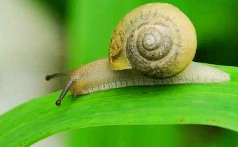 �P(gu��n)��΁ţ������(�ϼ�)