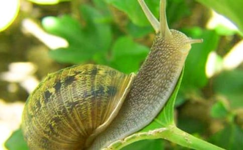 ������g(sh��)�̰��ɐ۵�΁ţ