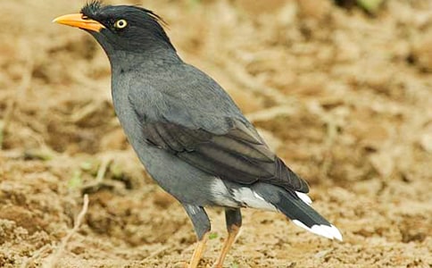 ���ƌW(xu��)�̰������f��ˮ��