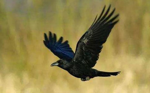 �P(gu��n)�ڞ��f�����ܺ�ˮ������