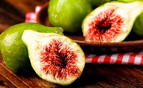 橙胸?zé)o花果鸚鵡