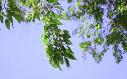 午安寄語大全(精選70句)