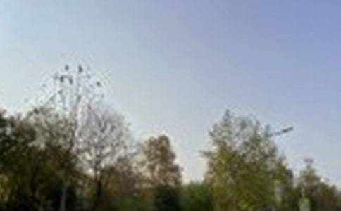 唯美午安寄語匯總(通用70句)