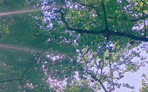 經(jīng)典治愈午安寄語30句精選