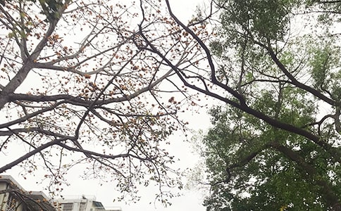 經典個性午安寄語(精選50句)