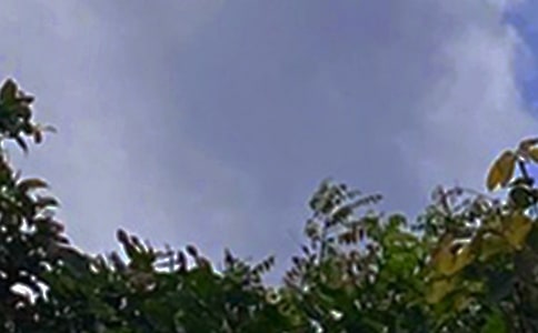 經(jīng)典朋友圈午安寄語(yǔ)(精選40句)