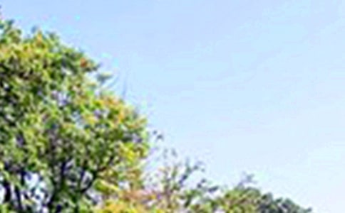 正能量午安寄語(精選30句)